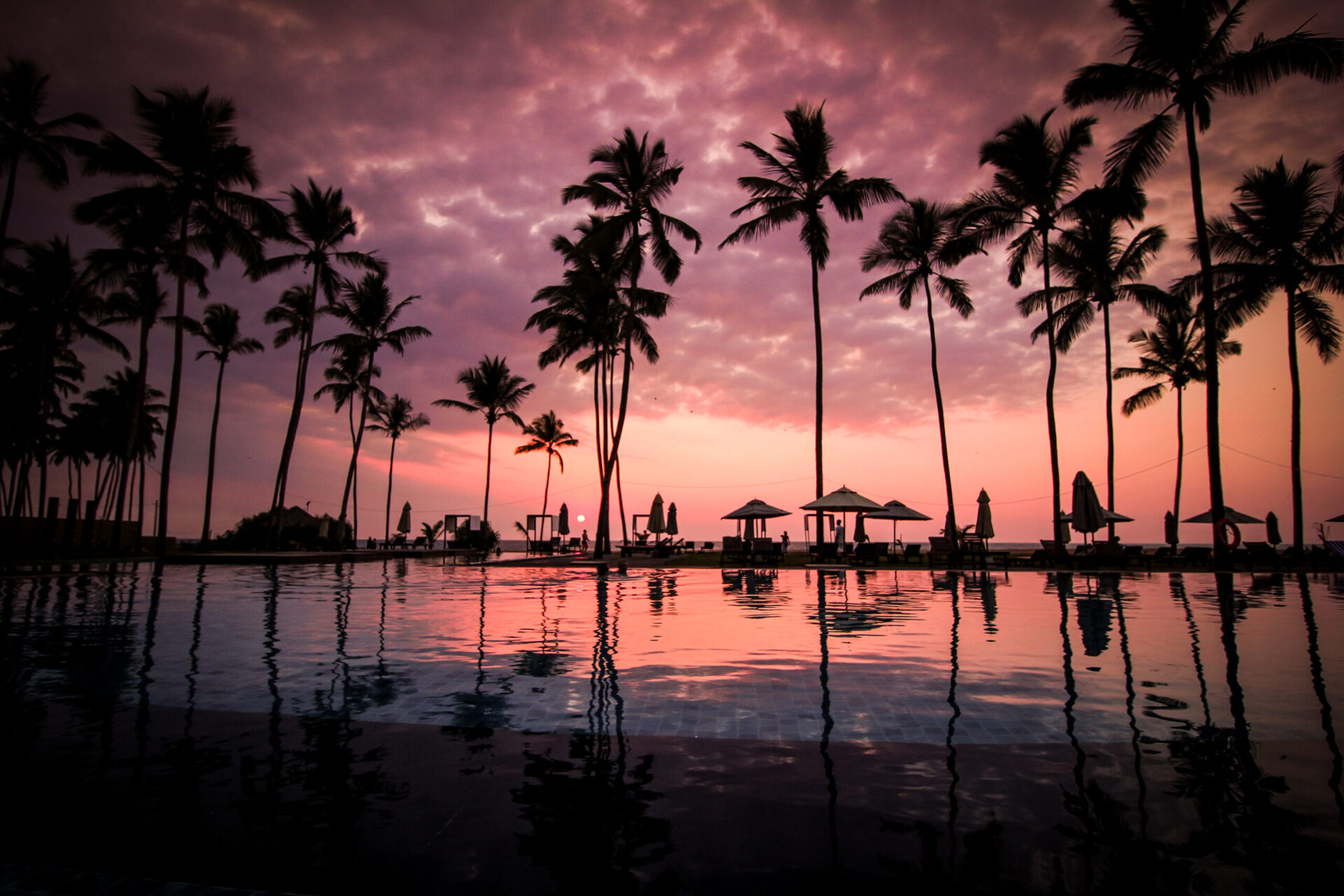 Coconut palm tress beside calm lake silhouette